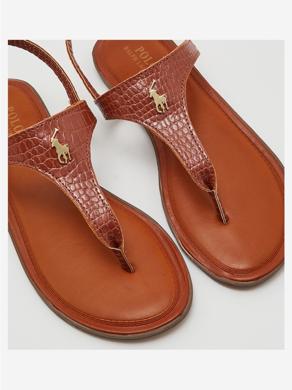 Polo by Ralph Lauren Brown Croc-Embossed Leather Thong Sandals with Gold Pony